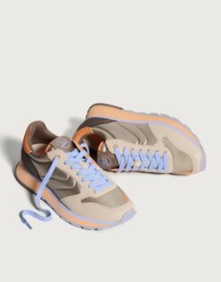 hoff city berlin trainer new